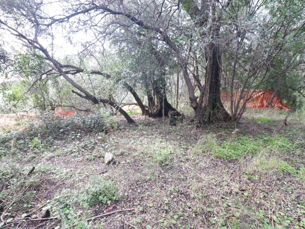 Terreno a Loano in Via San Damiano - Foto 2