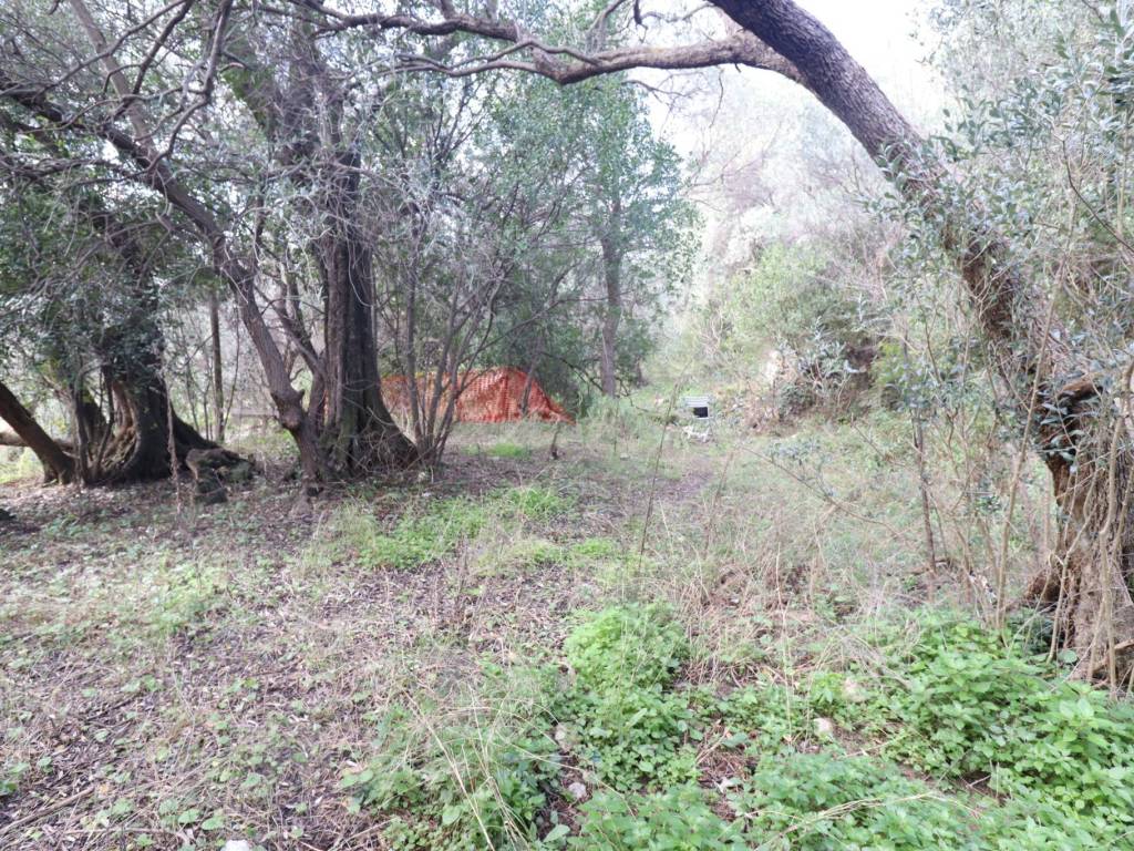 Terreno a Loano in Via San Damiano - Foto 3