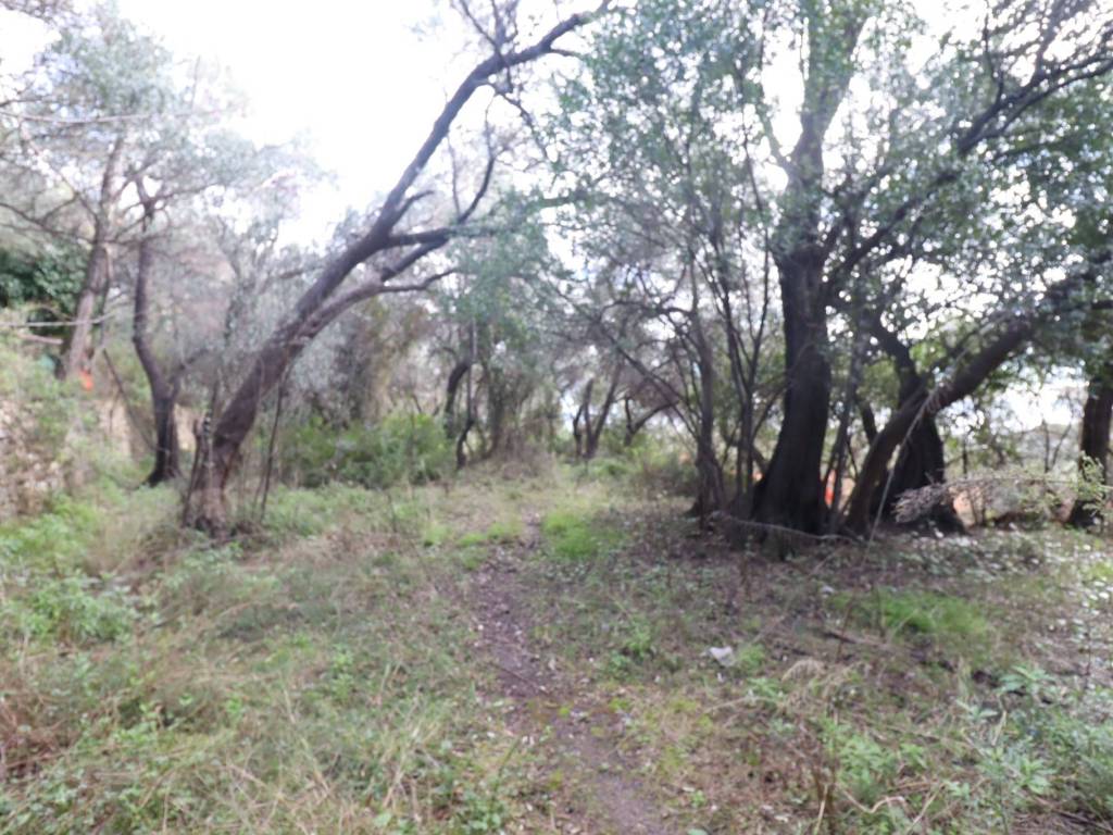 Terreno a Loano in Via San Damiano - Foto 4