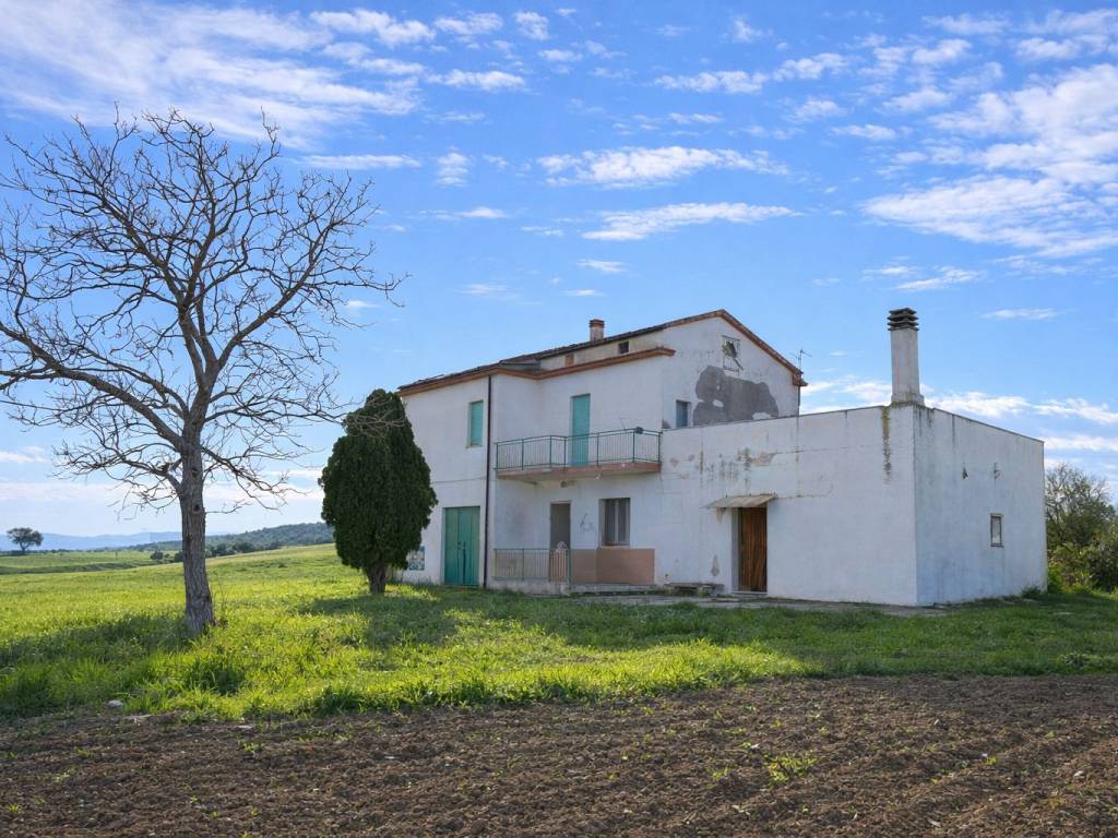 Rustico / casale a Montenero di bisaccia in Contrada San Biase - Foto 2