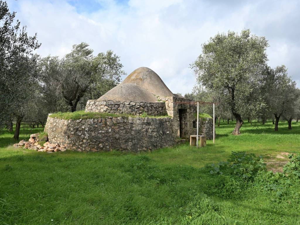 Terreno a San vito dei normanni in Contrada Laurelli - Foto 4