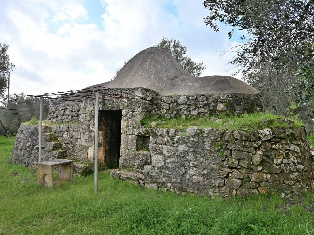 Terreno a San vito dei normanni in Contrada Laurelli - Foto 5