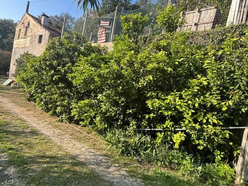 Rustico / casale a Sant'elpidio a mare in Strada Elpidiense - Foto 3