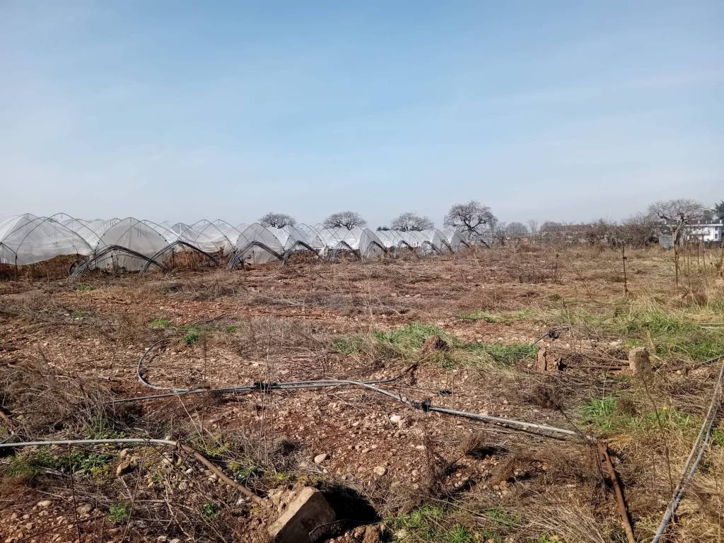 Terreno a San giovanni lupatoto - Foto 2