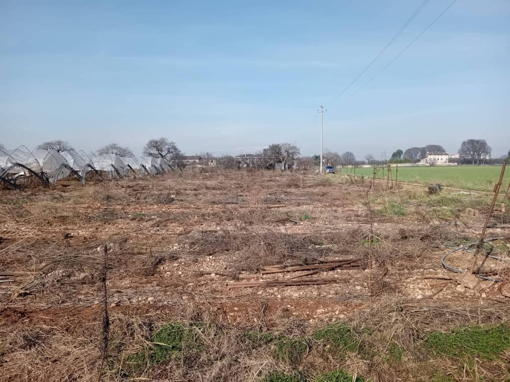Terreno a San giovanni lupatoto - Foto 4