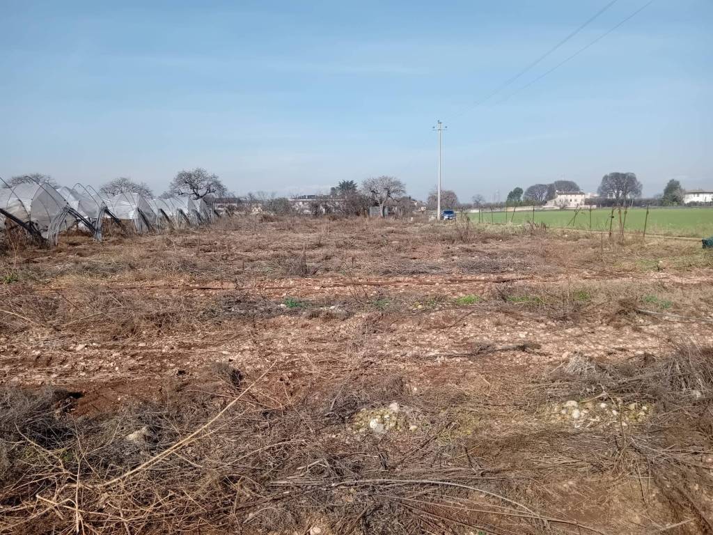 Terreno a San giovanni lupatoto - Foto 5
