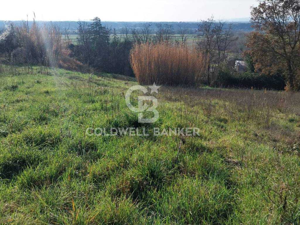 Terreno a Magliano sabina in Località Colle Tascione - Foto 4