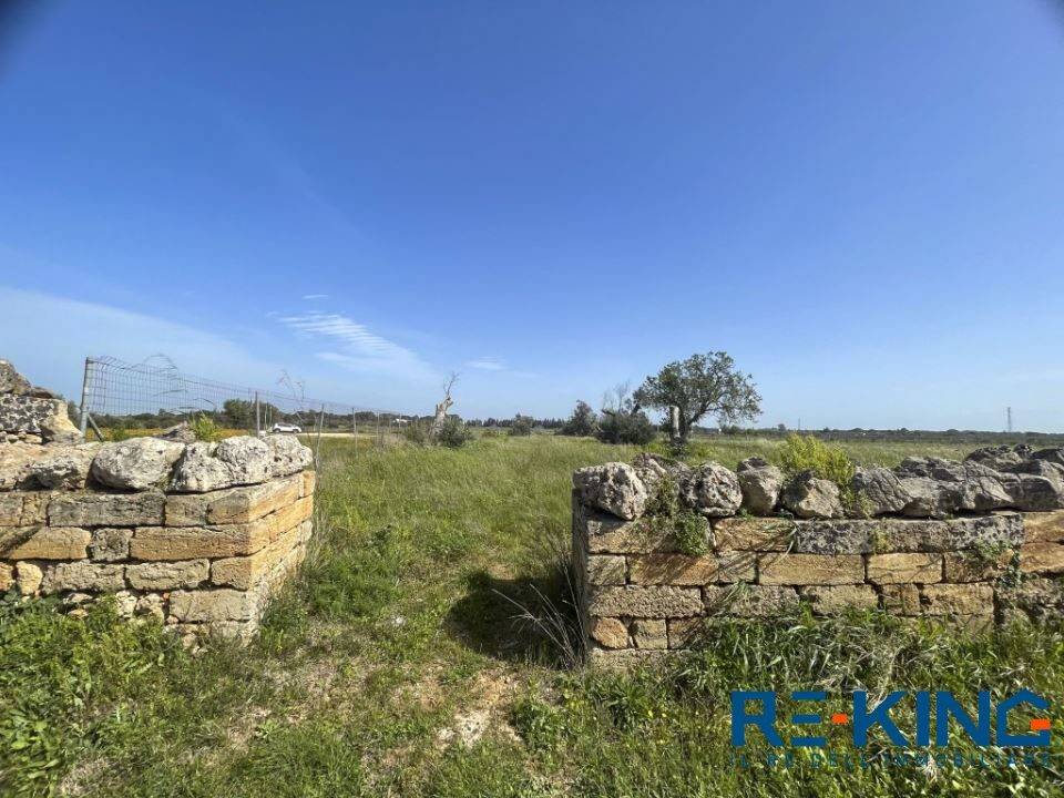 Terreno a Galatone in Contrada Orelle - Foto 3