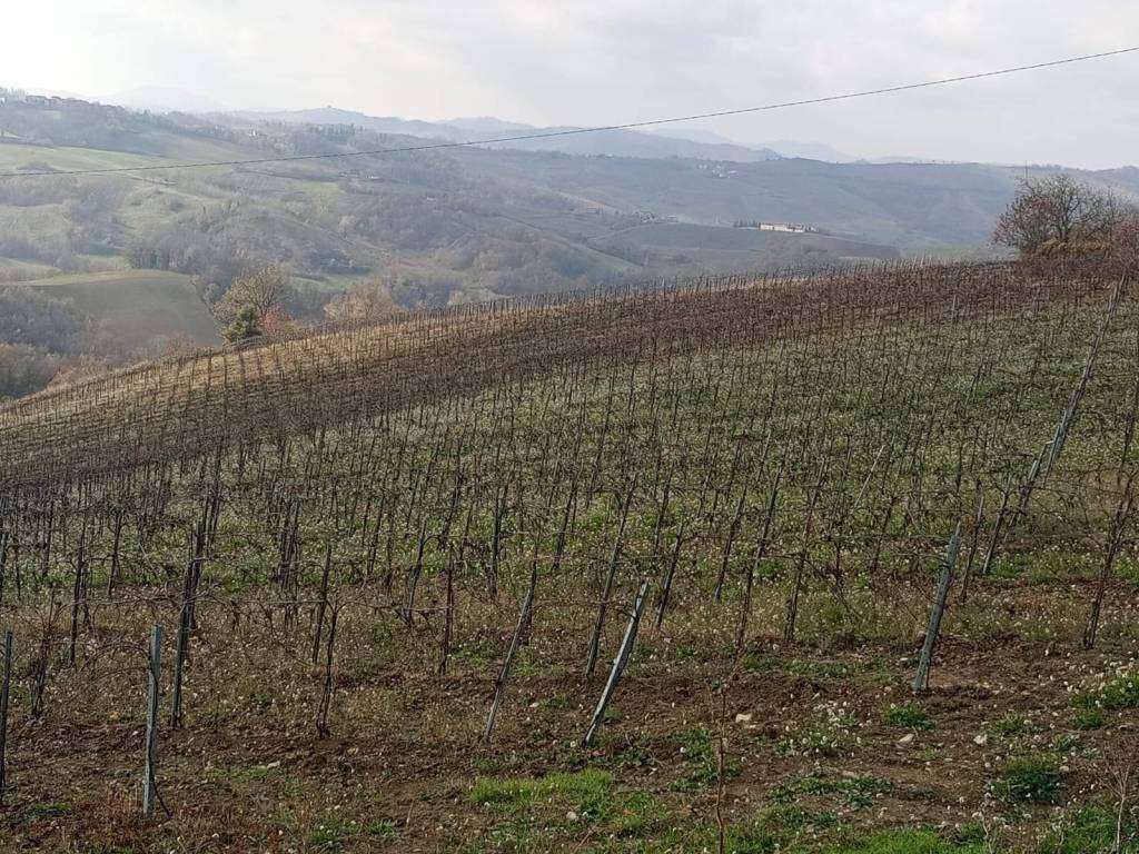 Terreno a Golferenzo - Foto 4