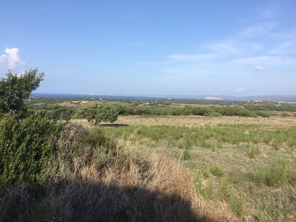 Rustico / casale a Aglientu - Foto 5