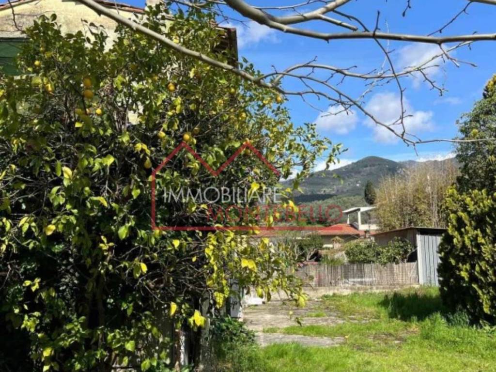 Rustico / casale a Camaiore - Foto 3