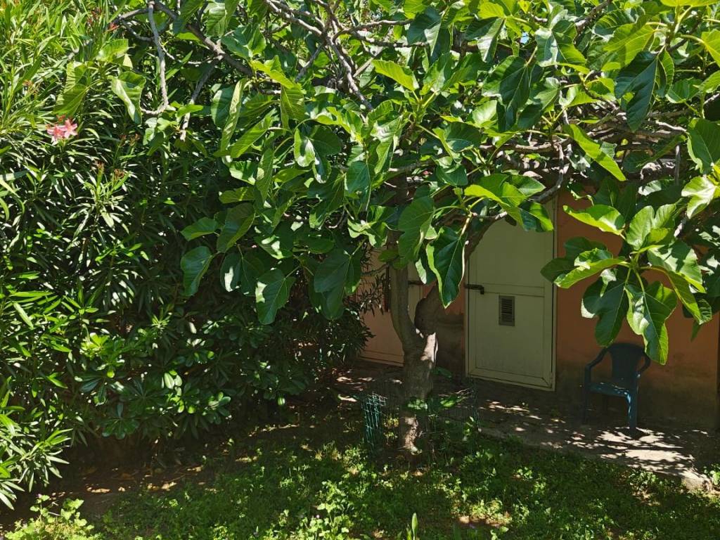 Villa a Pescara in Via Solferino, 80 - Foto 4