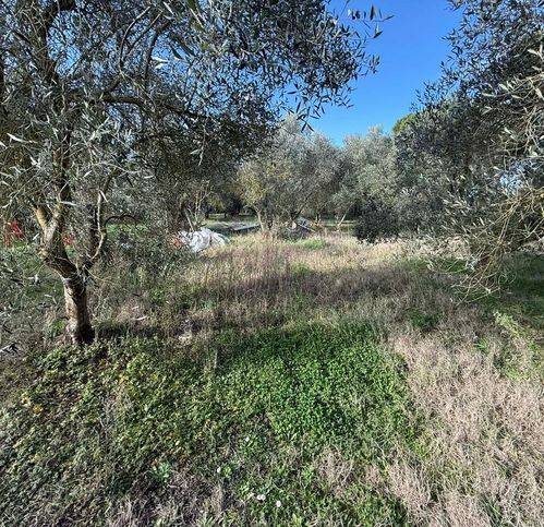 Terreno a Grosseto in Strada Provinciale Barbaruta - Foto 2