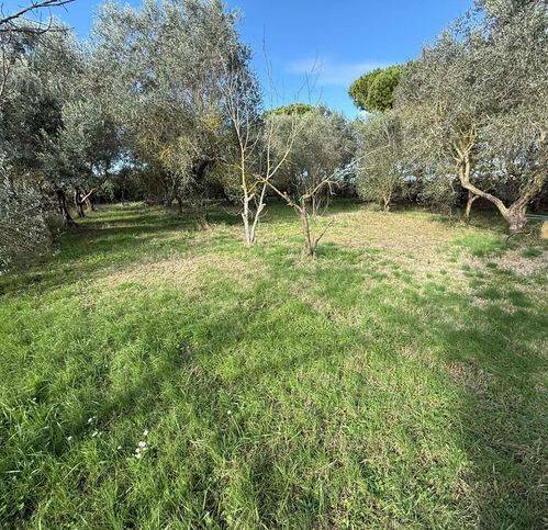 Terreno a Grosseto in Strada Provinciale Barbaruta - Foto 3