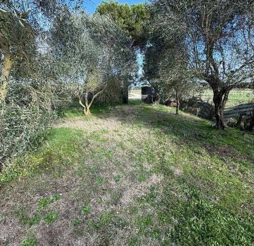 Terreno a Grosseto in Strada Provinciale Barbaruta - Foto 4