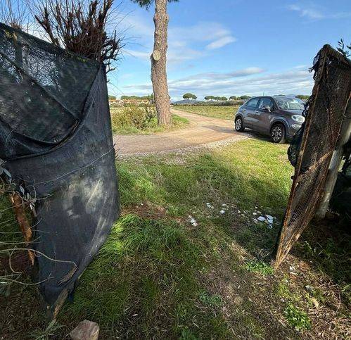 Terreno a Grosseto in Strada Provinciale Barbaruta - Foto 5