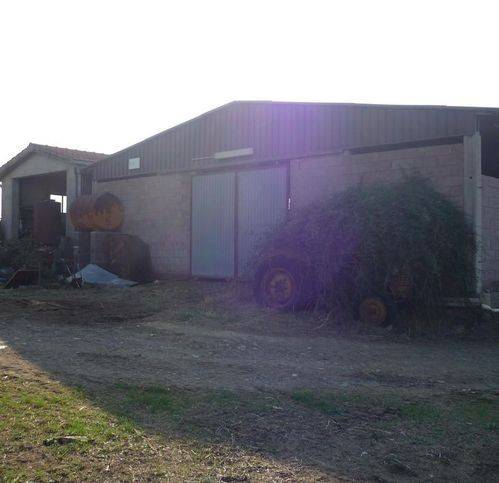 Rustico / casale a Scansano in Madrechiesa - Foto 2