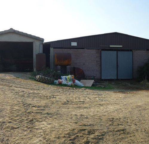 Rustico / casale a Scansano in Madrechiesa - Foto 3