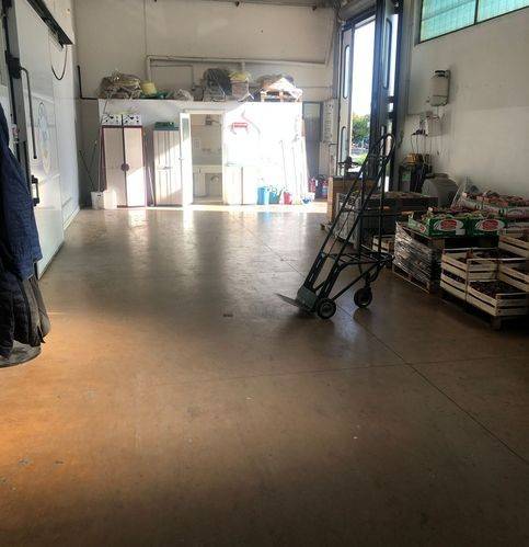 Immobile a Grosseto in Via Rubino - Foto 4