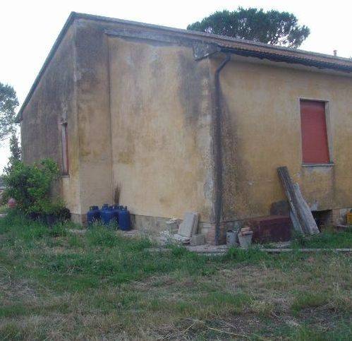 Rustico / casale a Grosseto in Rugginosa - Foto 5