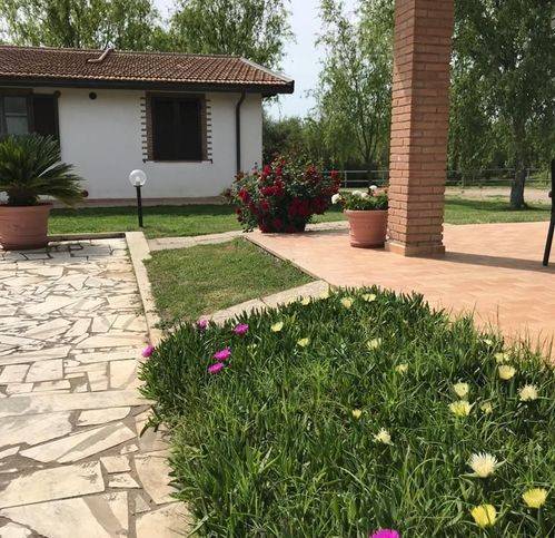 Rustico / casale a Grosseto - Foto 2