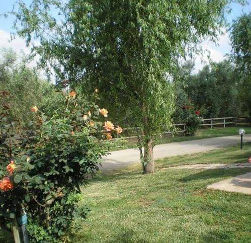 Rustico / casale a Grosseto - Foto 5