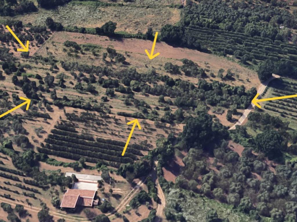 Terreno a Valle di maddaloni - Foto 4