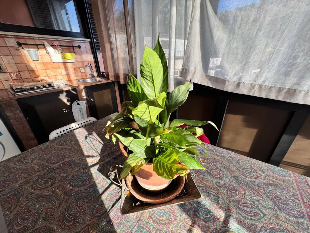 Appartamento a Ascea in Via Grisi, 4 - Foto 2