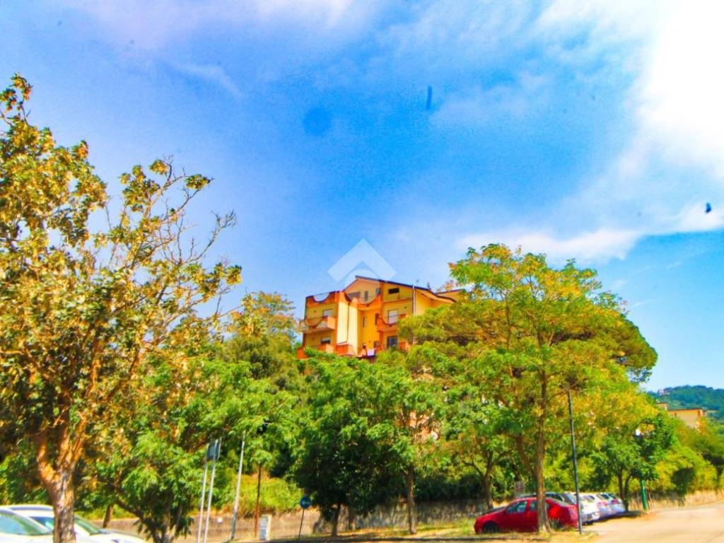 Appartamento a Casal velino in Via delle Ginestre, 1 - Foto 3