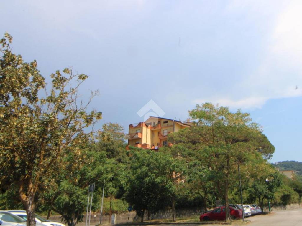 Appartamento a Casal velino in Via delle Ginestre, 1 - Foto 3
