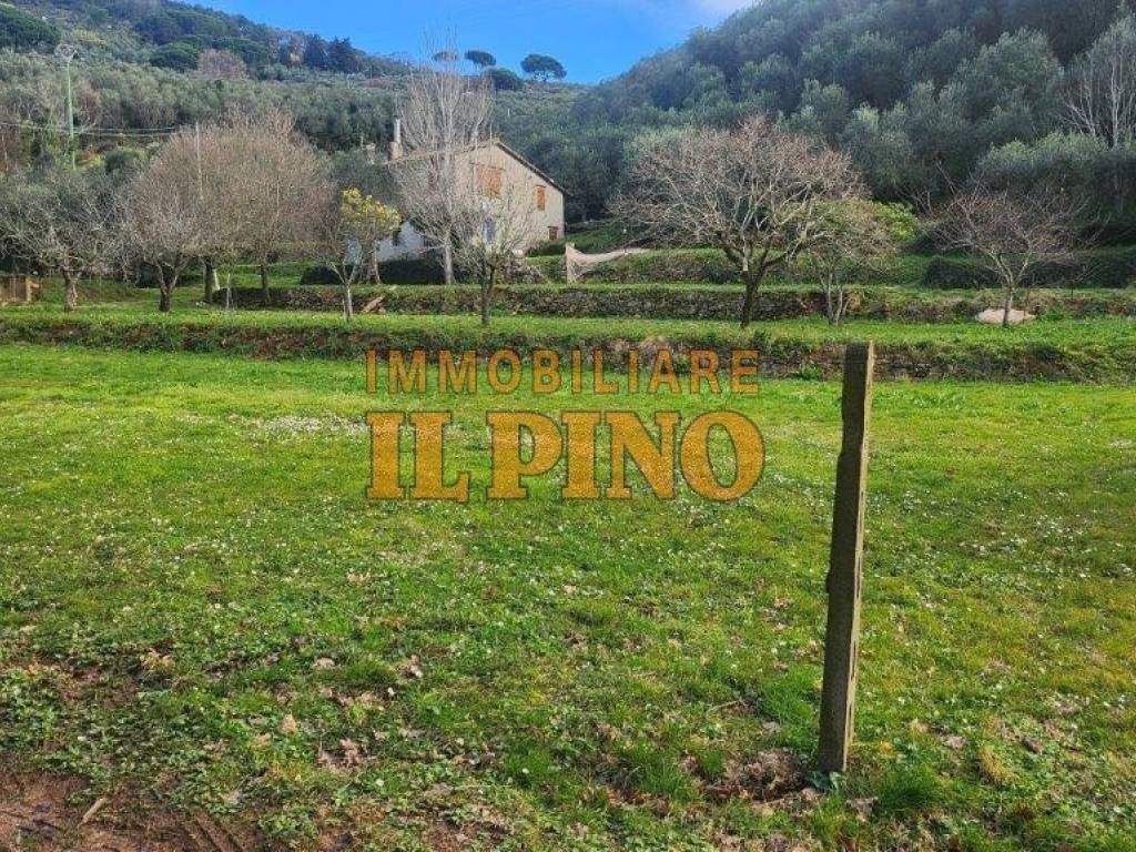 Terreno a Vicopisano in Vicopisano - Foto 2