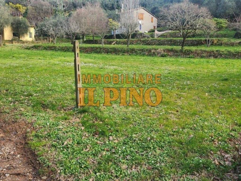 Terreno a Vicopisano in Vicopisano - Foto 3