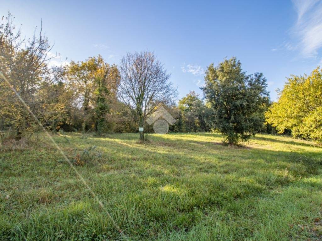 Terreno a Casperia in LOC QUERCETO - Foto 4