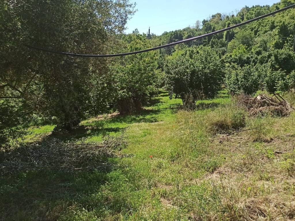 Immobile a Soriano nel cimino in Strada della Fornacchia - Foto 4