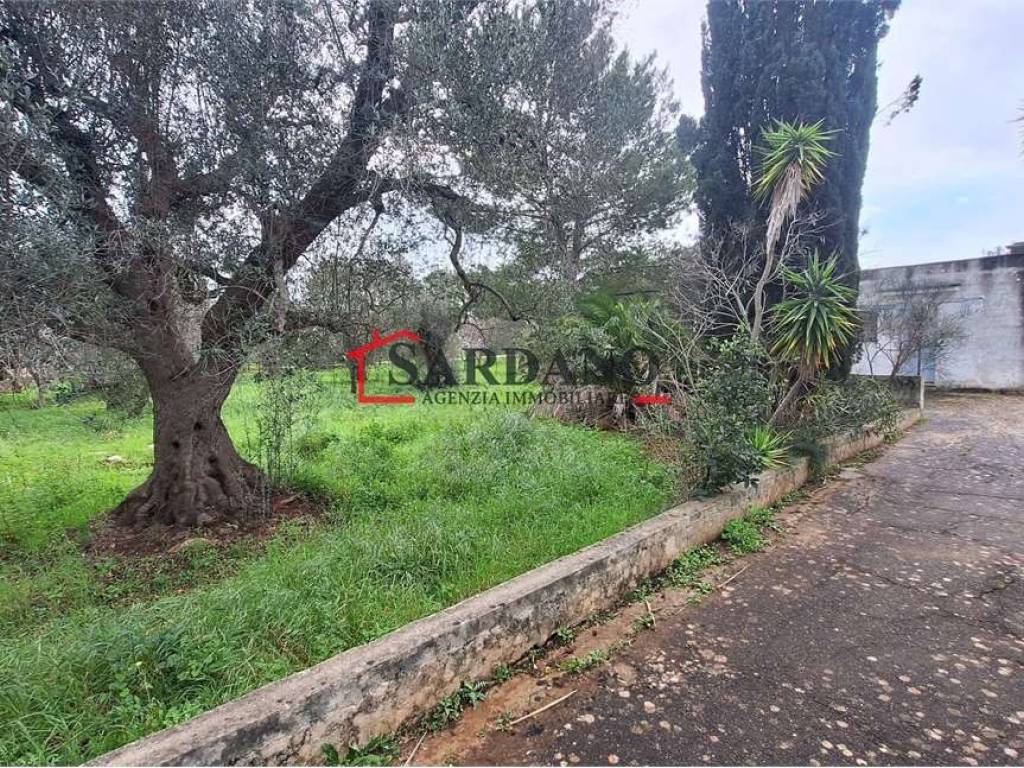 Rustico / casale a Carovigno - Foto 2