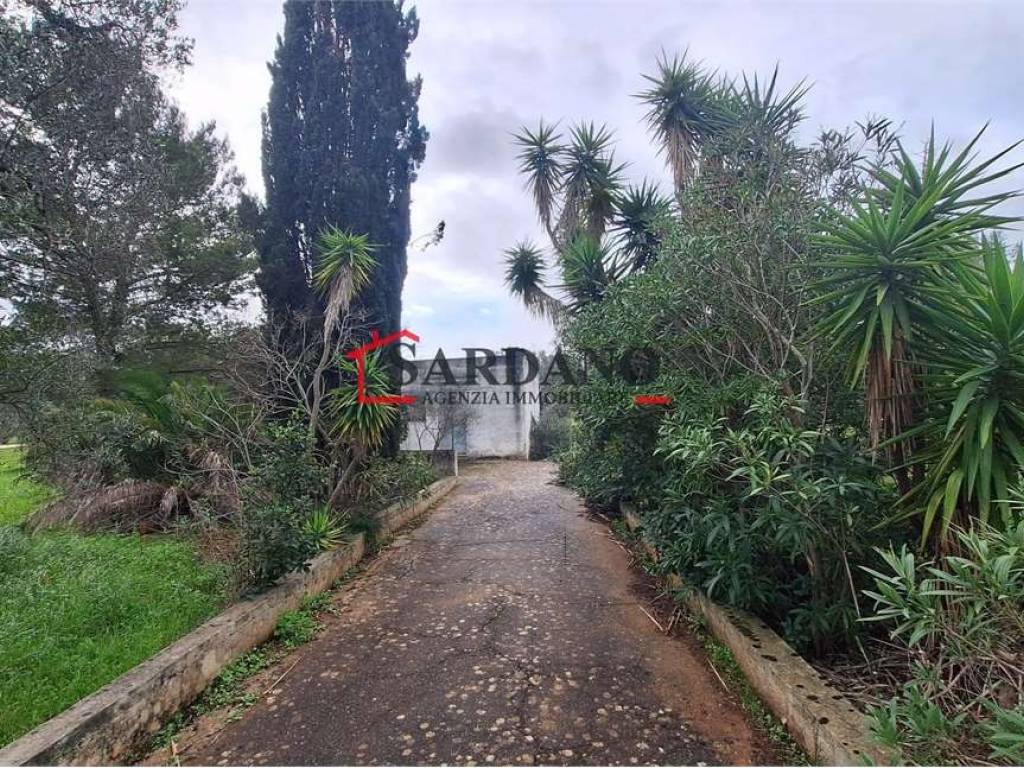 Rustico / casale a Carovigno - Foto 3