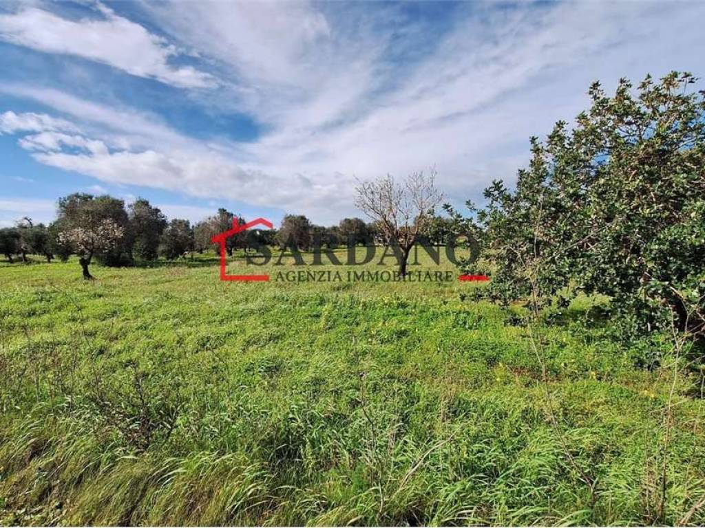 Terreno a Carovigno in Contrada Pezze D'Arena - Foto 2