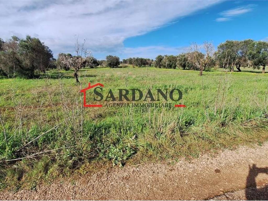 Terreno a Carovigno in Contrada Pezze D'Arena - Foto 3