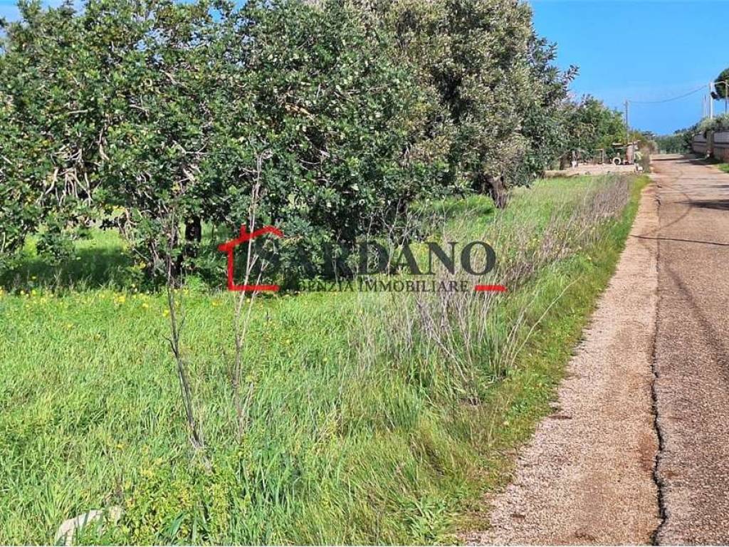 Terreno a Carovigno in Contrada Pezze D'Arena - Foto 5