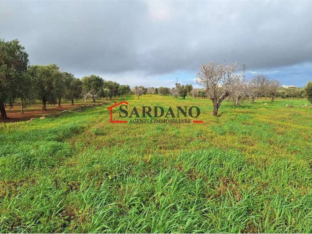 Terreno a Carovigno in Contrada Sierri - Foto 3