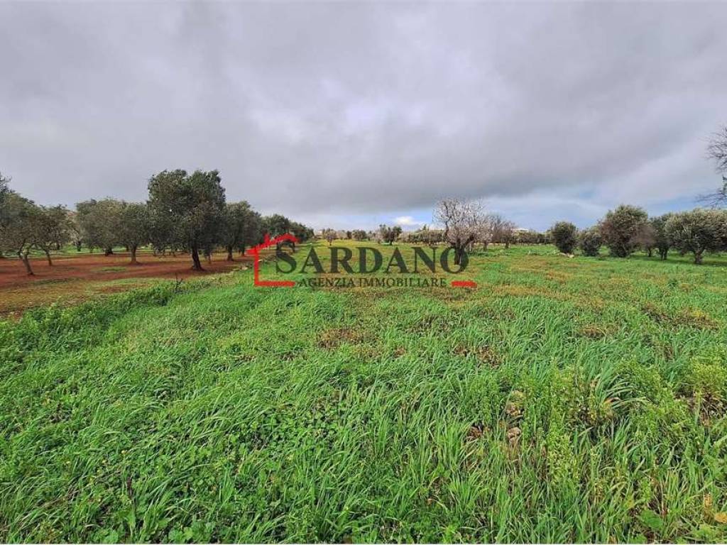 Terreno a Carovigno in Contrada Sierri - Foto 4