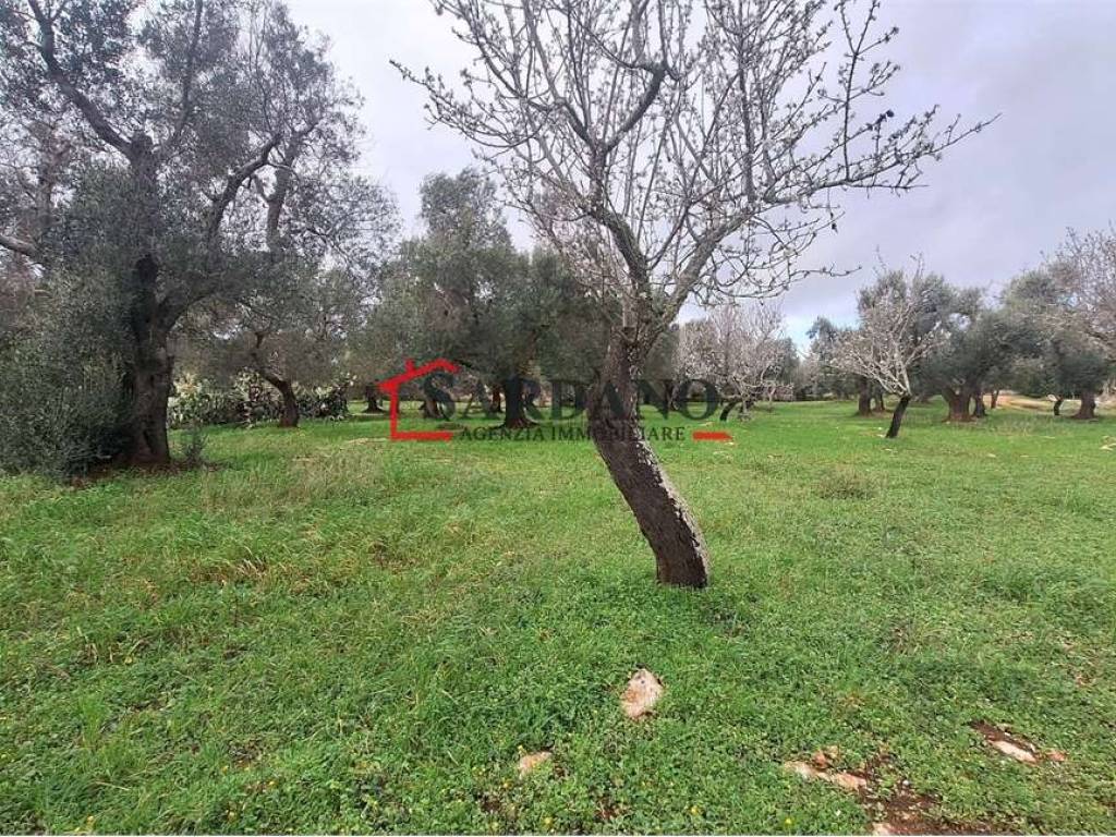 Terreno a Carovigno in Contrada Sierri - Foto 5