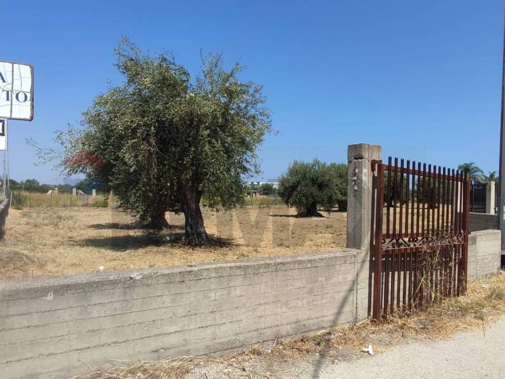 Terreno a Augusta in Contrada Oliveto - Foto 2