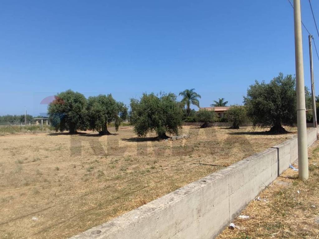 Terreno a Augusta in Contrada Oliveto - Foto 4