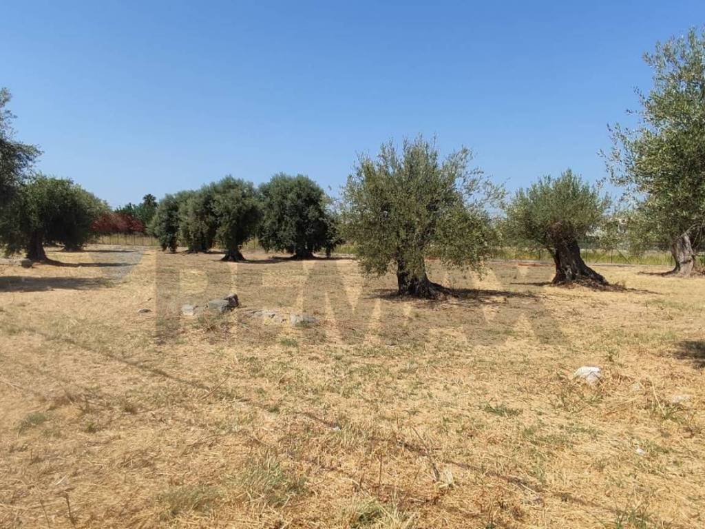 Terreno a Augusta in Contrada Oliveto - Foto 5