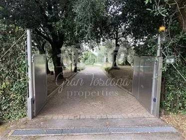 Rustico / casale a Massarosa - Foto 4