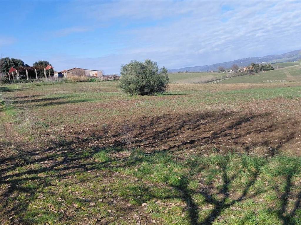 Rustico / casale a Scansano in pomonte, 45 - Foto 5