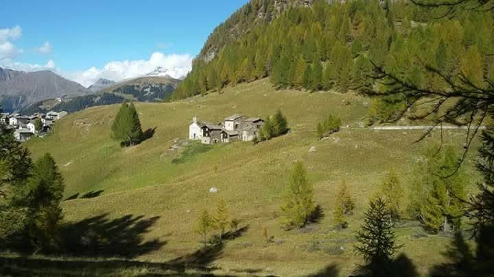 Rustico / casale a Campodolcino in Bondeno - Foto 2