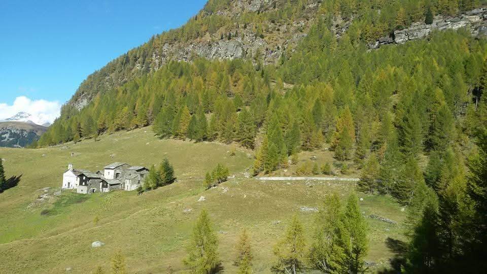 Rustico / casale a Campodolcino in Bondeno - Foto 3