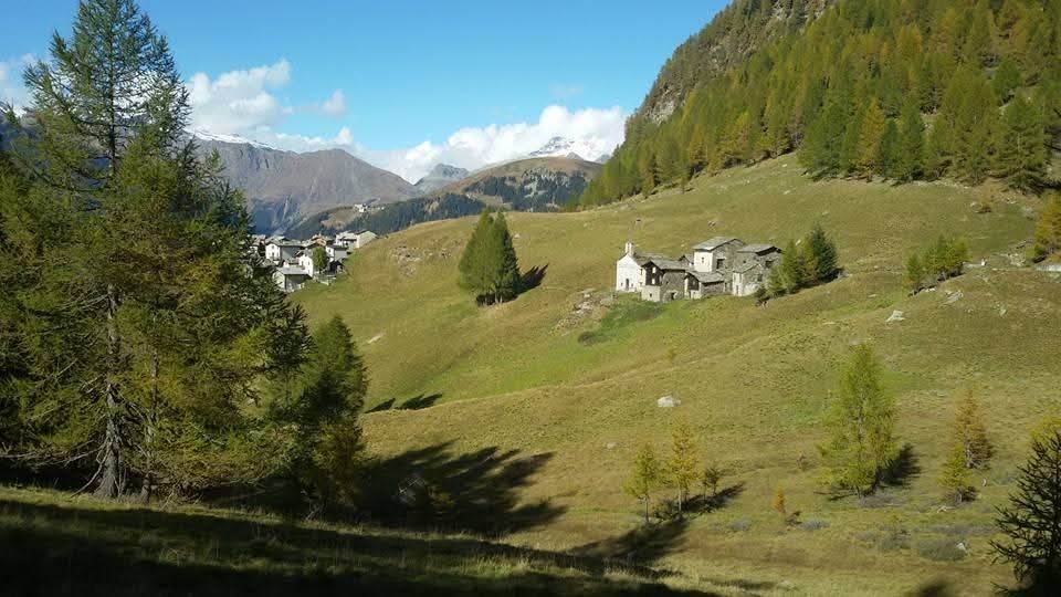 Rustico / casale a Campodolcino in Bondeno - Foto 4